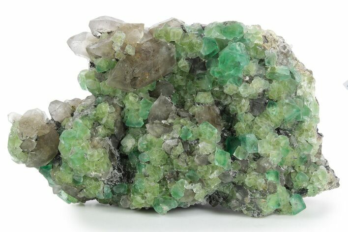 Apple-Green Fluorite Crystals with Smoky Quartz - Fluorescent! #348144